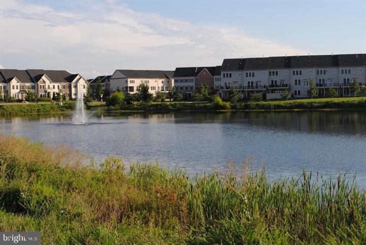 AVONLEA - Residential Lease