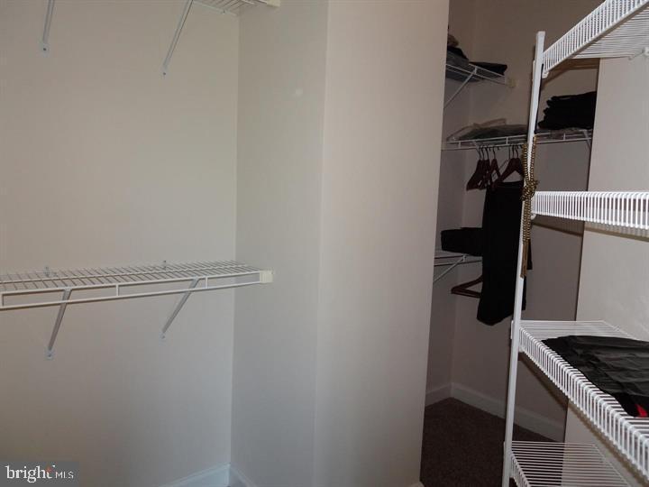 AVONLEA - Residential Lease