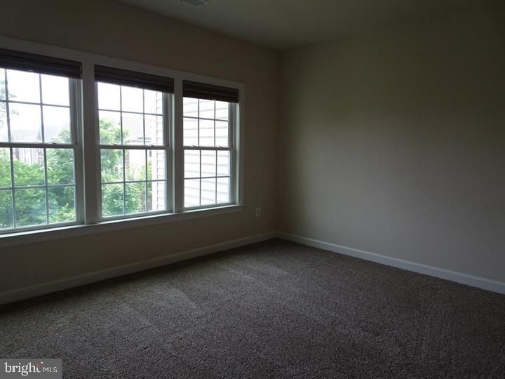 AVONLEA - Residential Lease