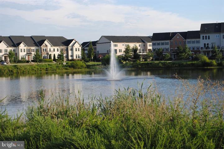 AVONLEA - Residential Lease