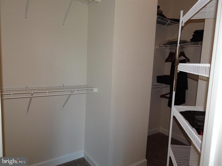 AVONLEA - Residential Lease