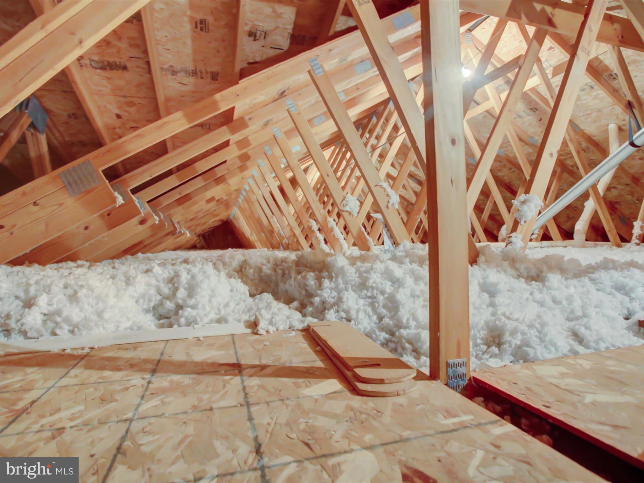 GREENWICH PARK - Residential