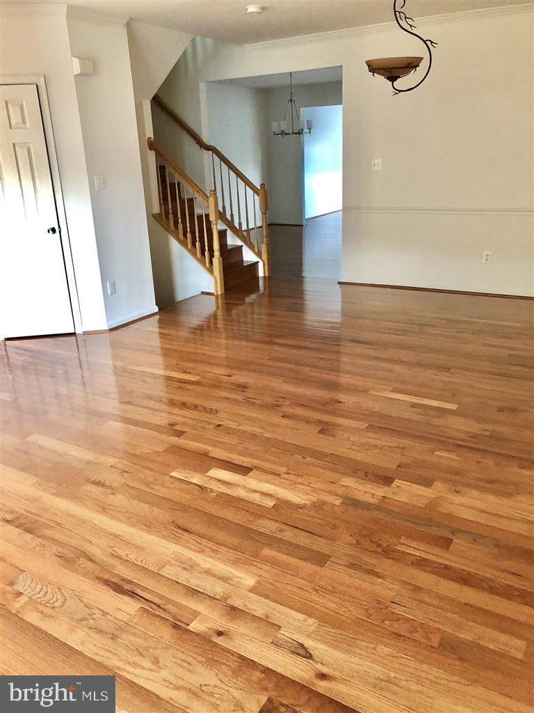 1981 LOGAN MANOR DRIVE