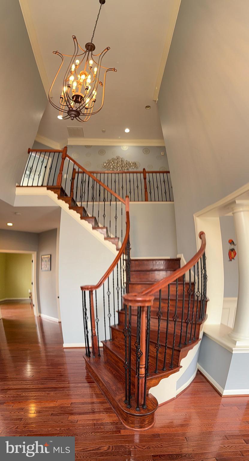 AMBERLEIGH - Residential Lease