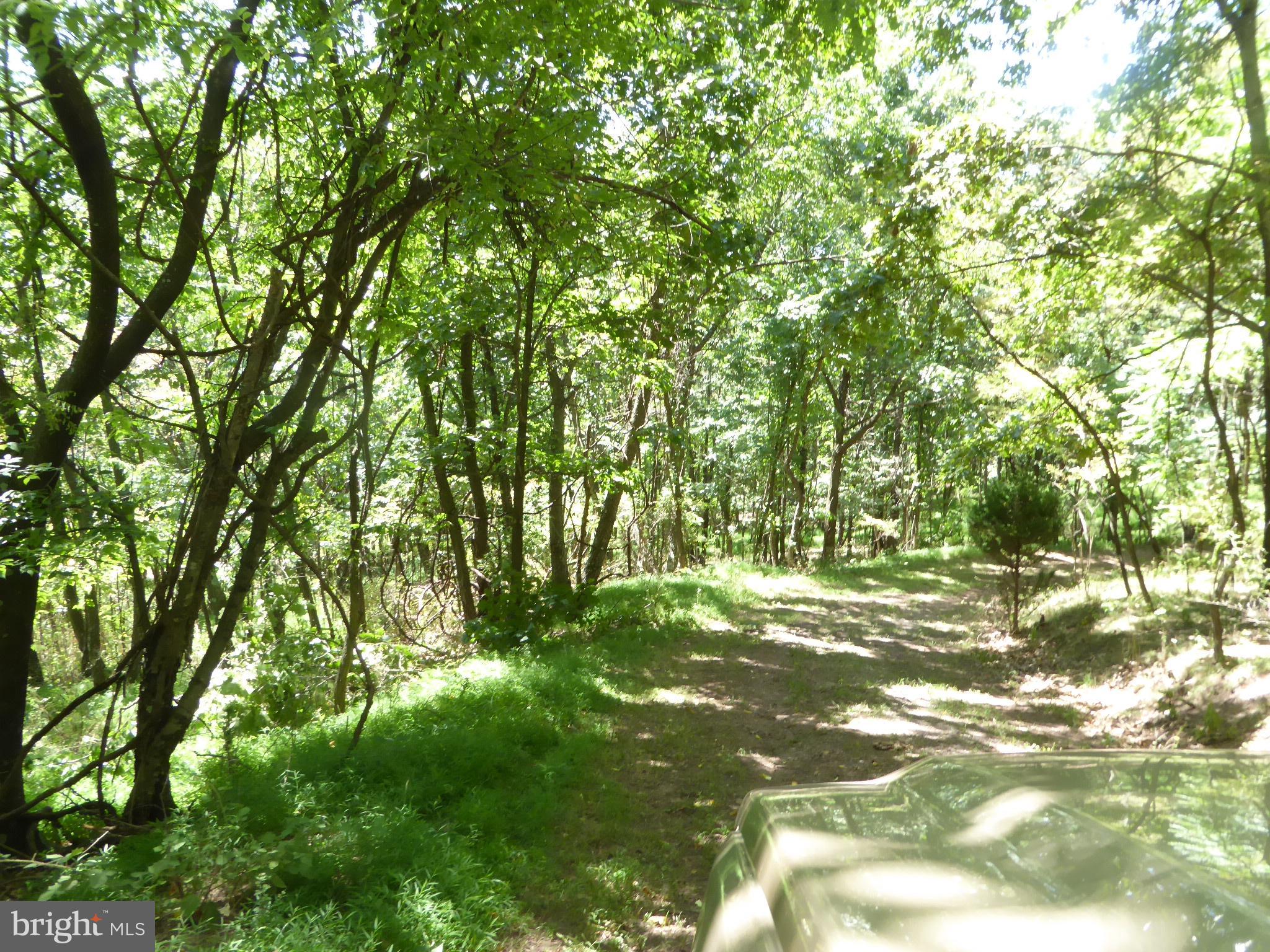 HIGH MOUNTAIN MEADOWS - Land