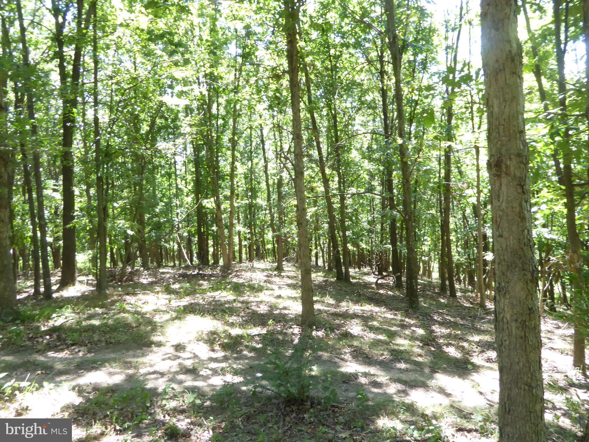 HIGH MOUNTAIN MEADOWS - Land