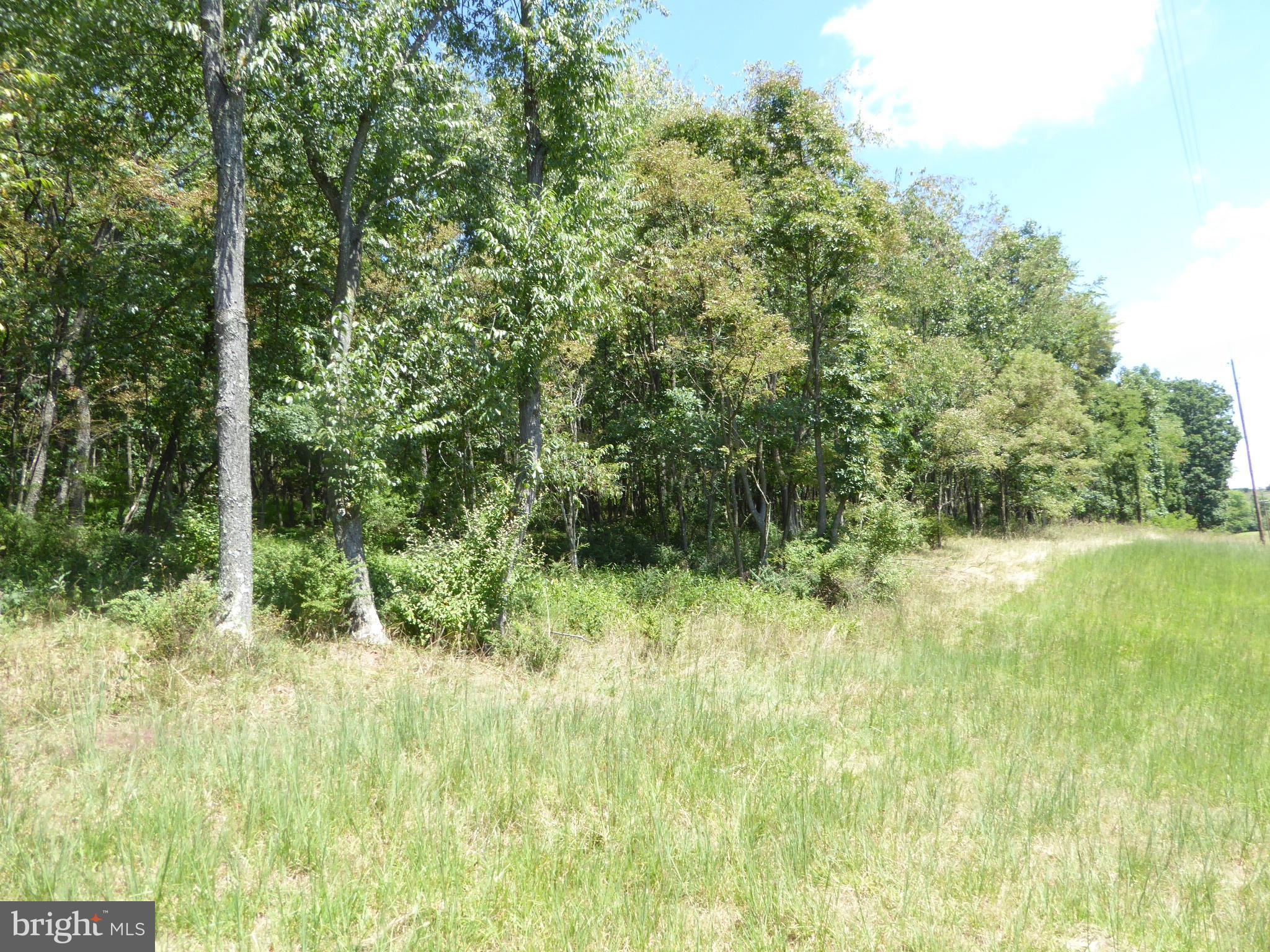 HIGH MOUNTAIN MEADOWS - Land