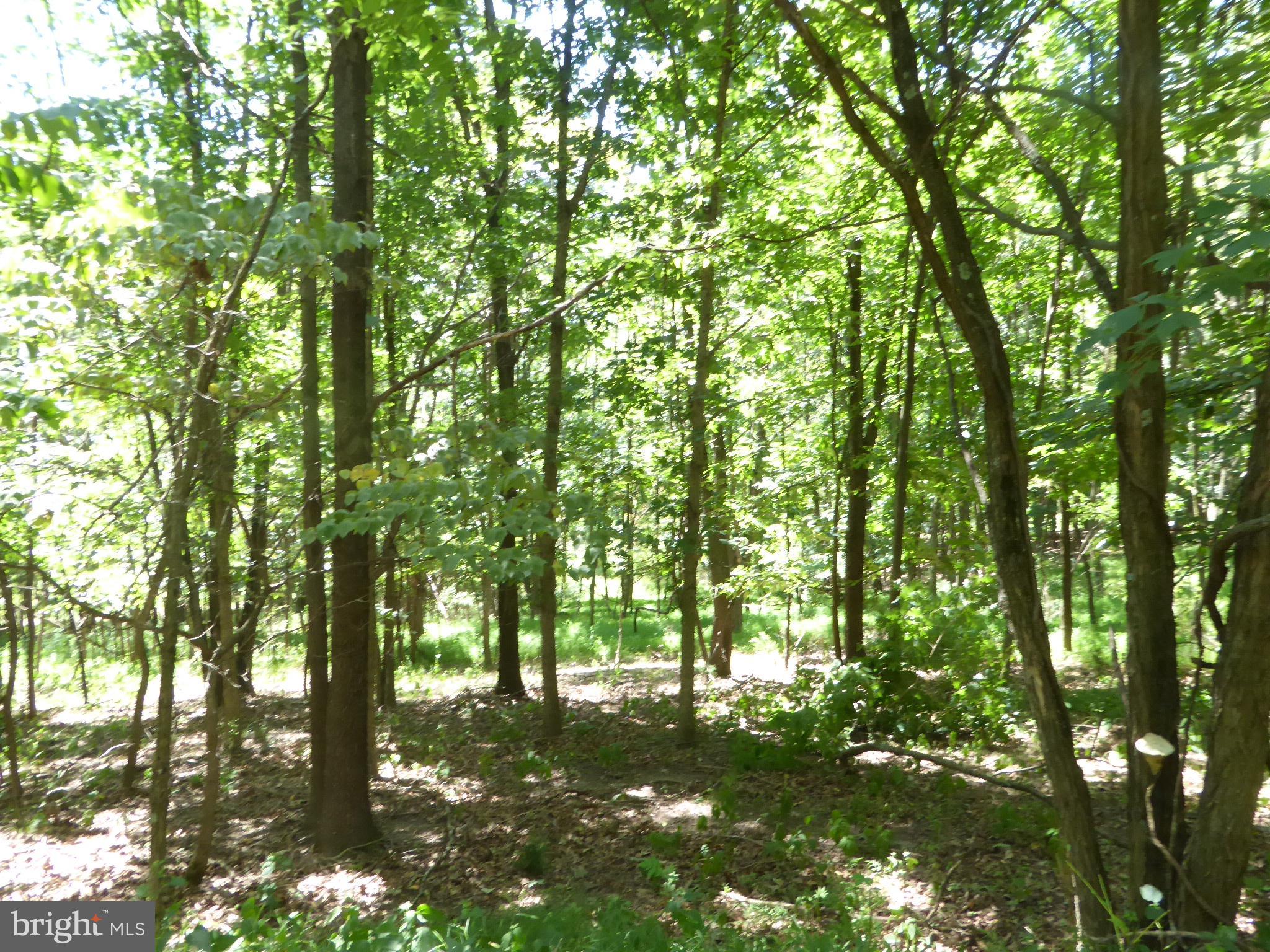 HIGH MOUNTAIN MEADOWS - Land