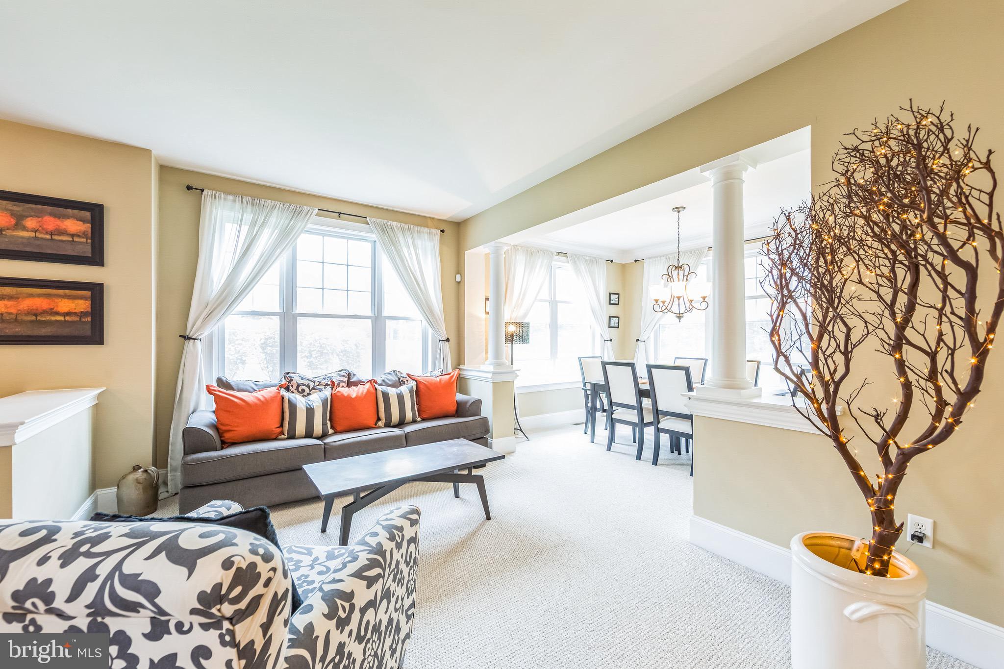 BRINTON VILLAGE - Residential