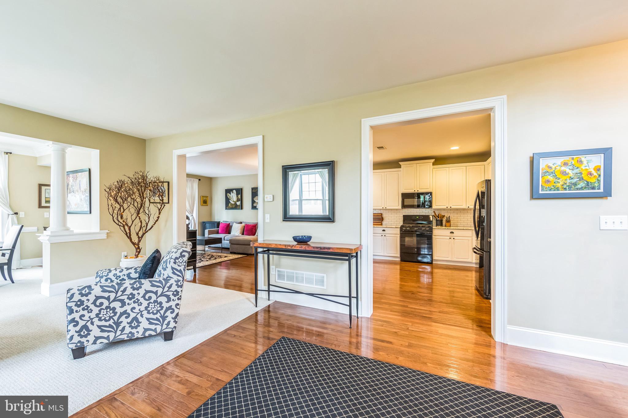 BRINTON VILLAGE - Residential