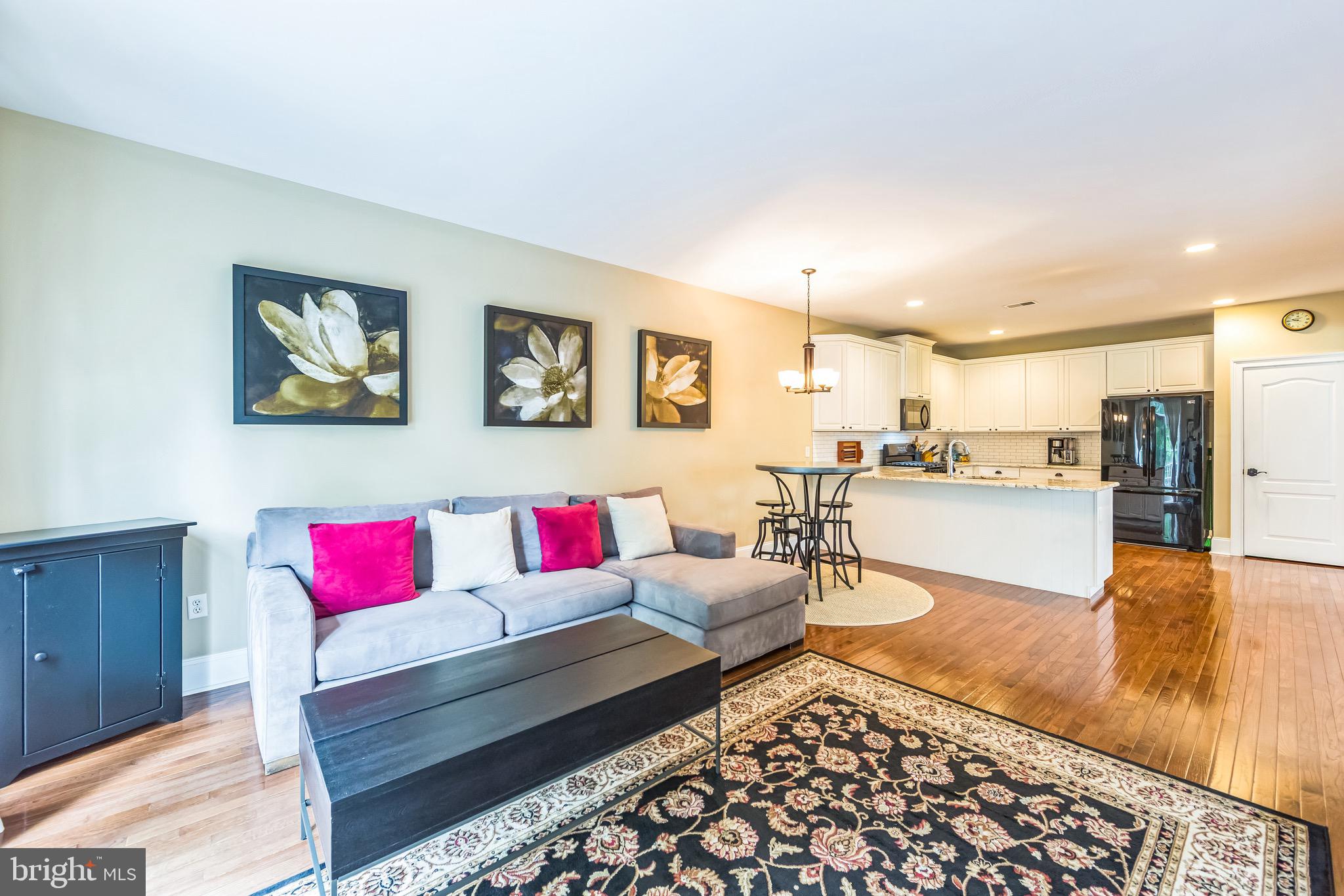 BRINTON VILLAGE - Residential