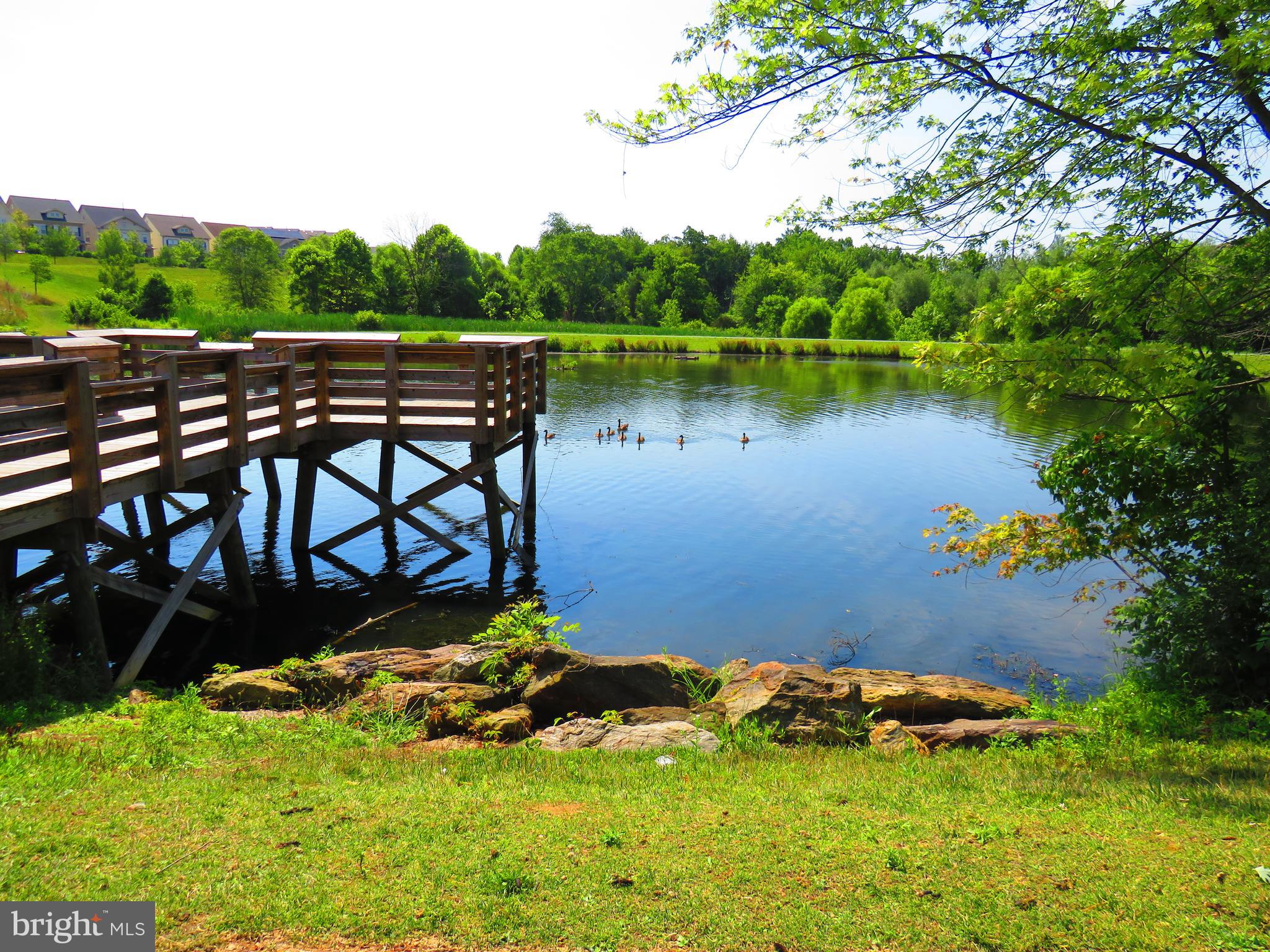 CLARKSBURG TOWN CENTER - Residential
