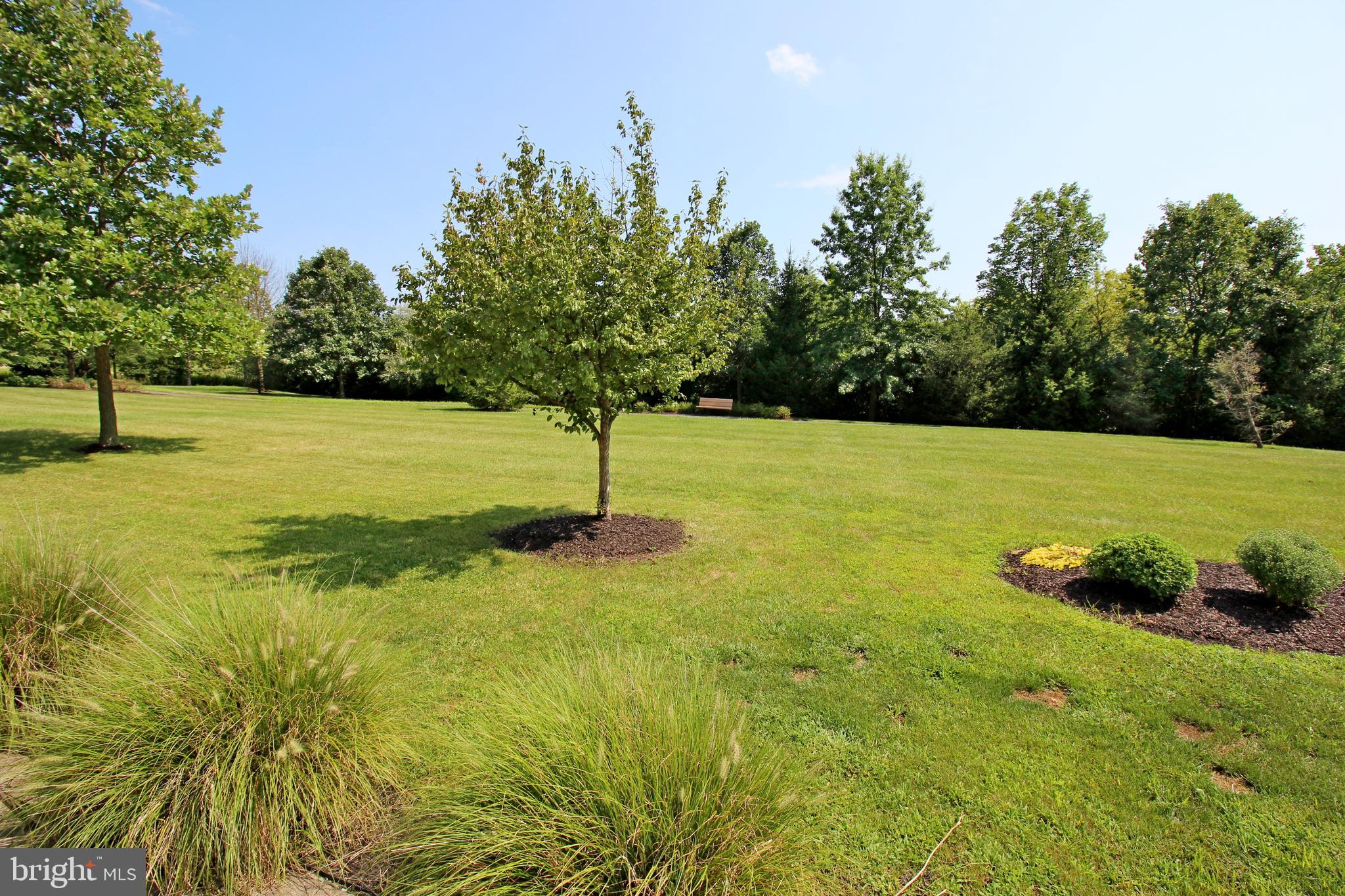 QUAIL HOLLOW - Residential
