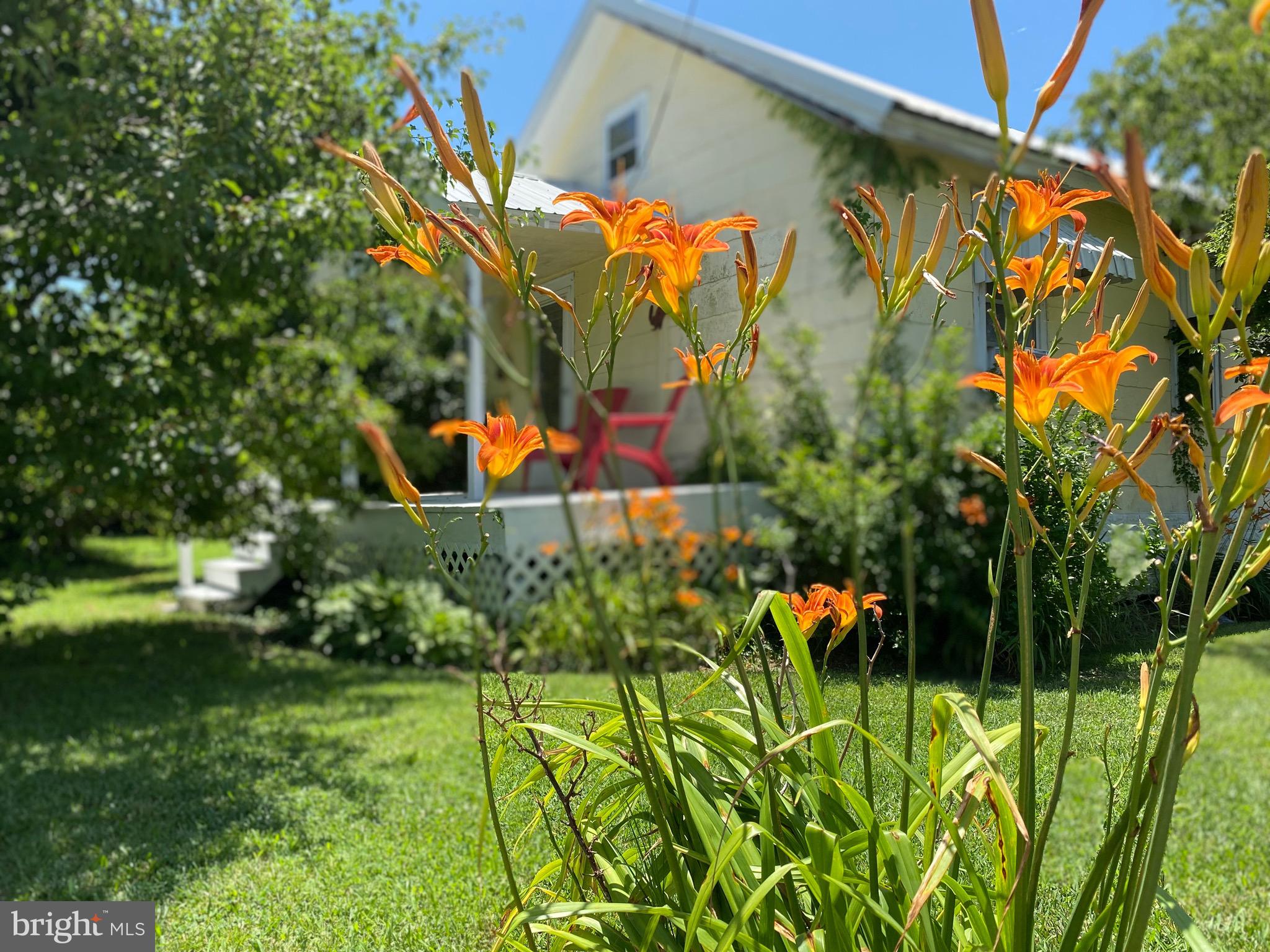 SMITH ISLAND - Residential