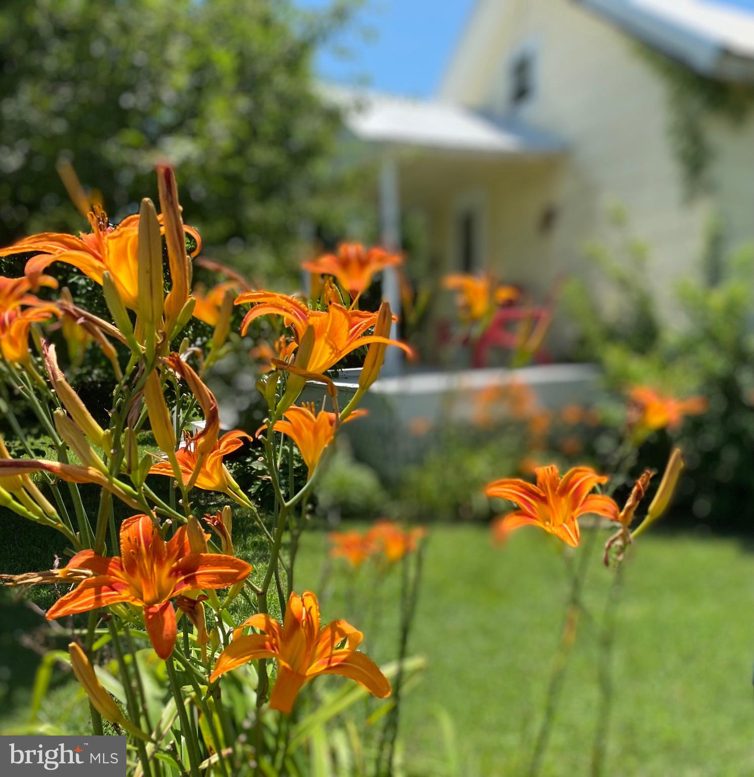 SMITH ISLAND - Residential