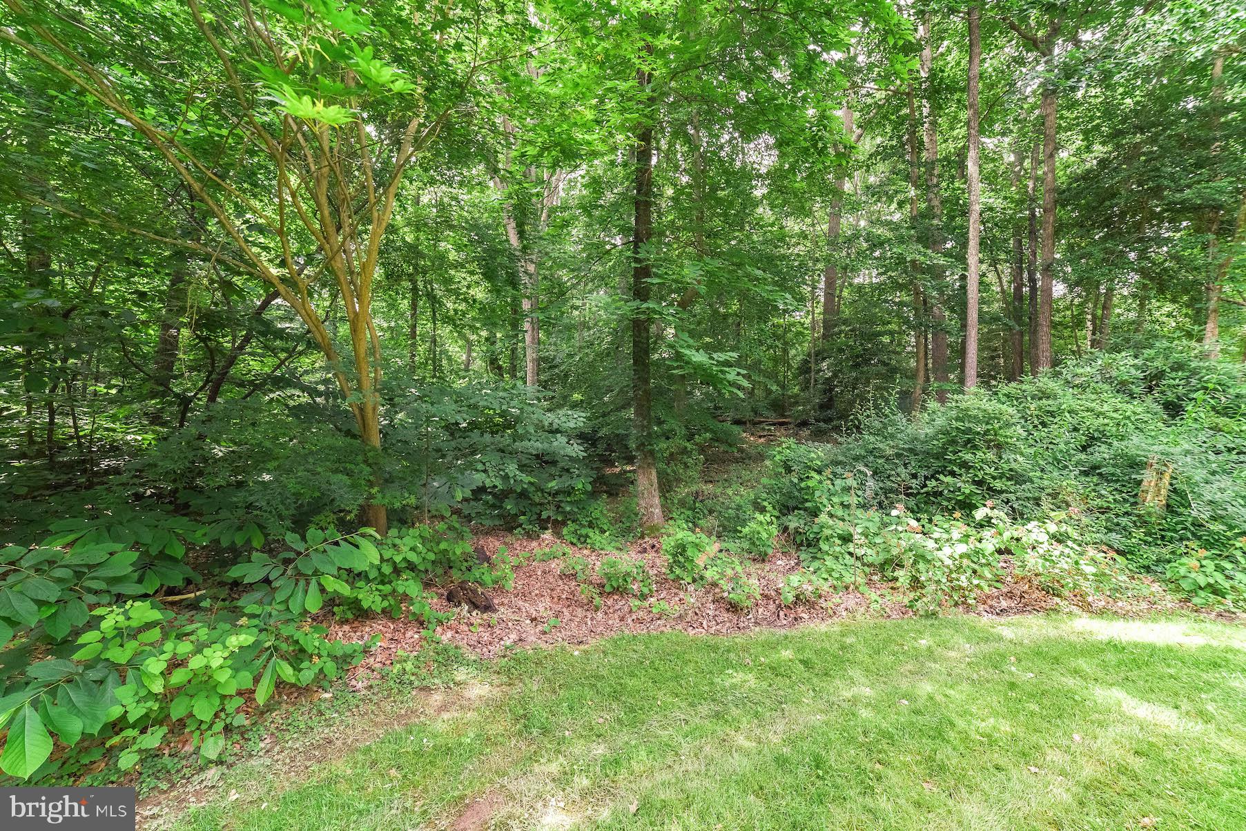 CHESAPEAKE RANCH ESTATES - Residential