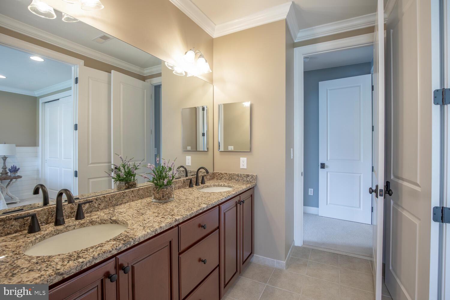 ASHLAND MEADOWS - Residential