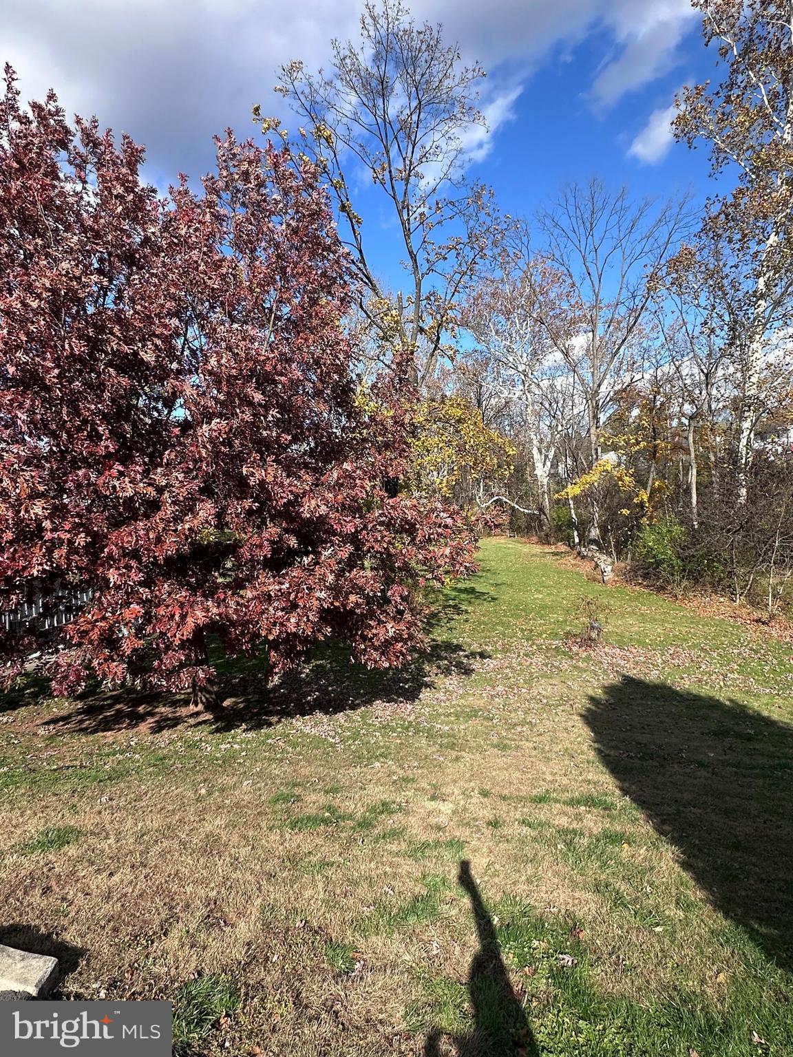 6221 W PERKIOMEN AVENUE