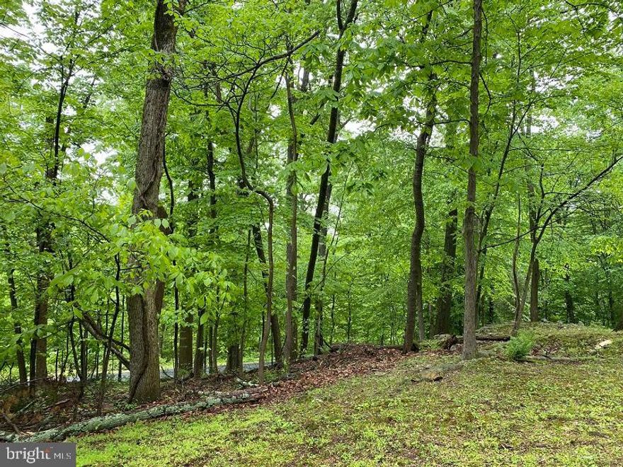 Beautiful 3/4 acre wooded lot in scenic Landis Store area.  Build your new home on this lightly-treed knoll affording awesome views of the surrounding countryside.  An inground septic system was installed in 1991 but has never been utilized.  Another option is to renovate, expand, and utilize the existing circa 1950 +/-, 2 room, 240 +/- square foot Bungalow which served as a weekend retreat in decades past.