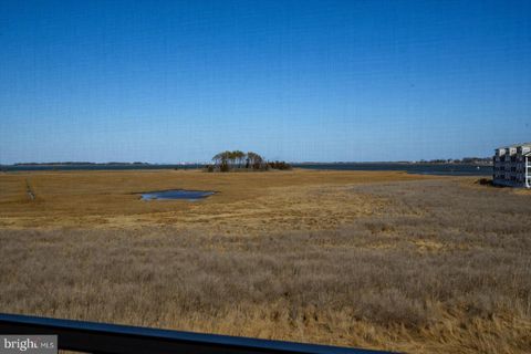 listing image 42