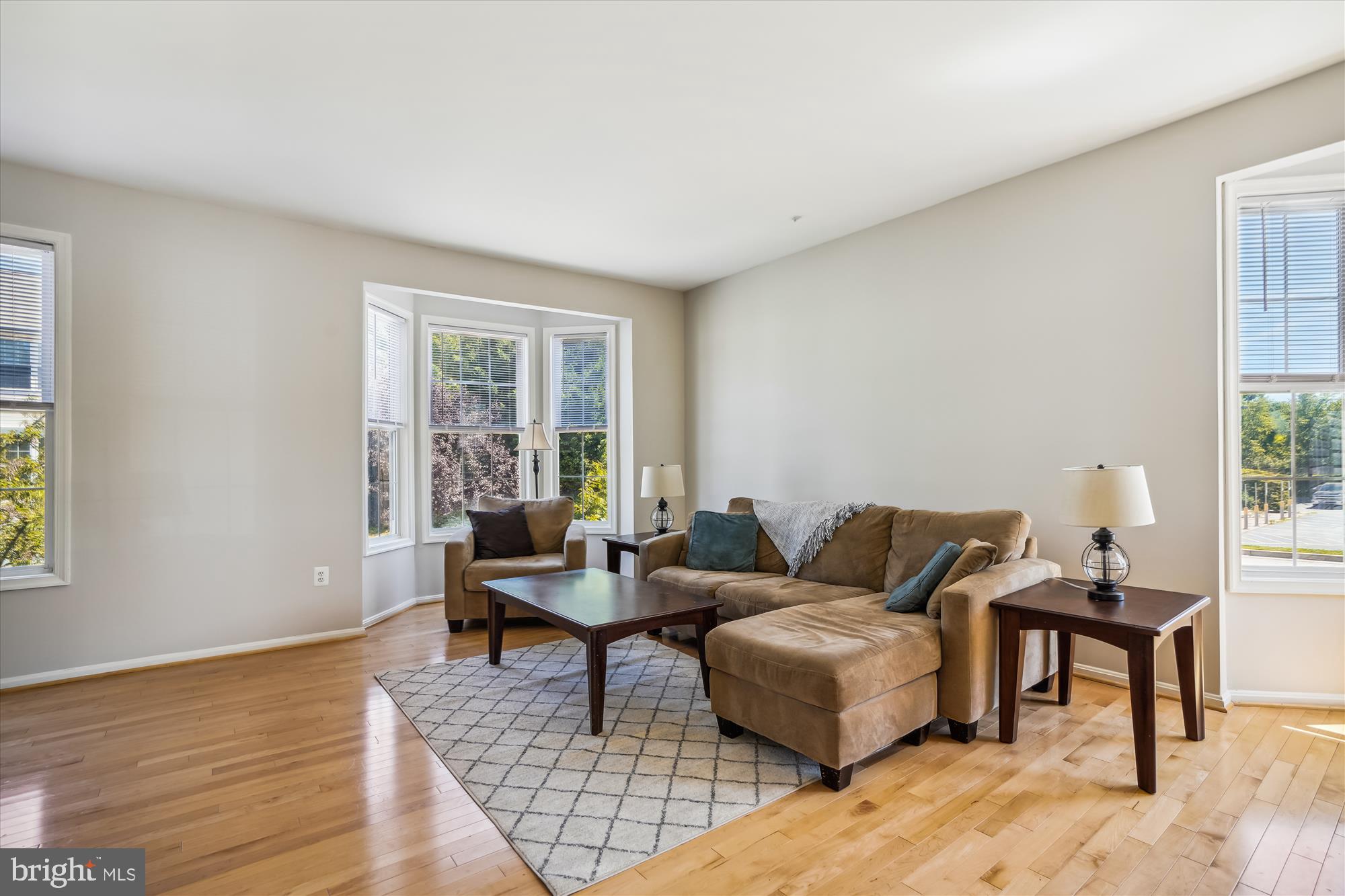 ELLICOTT PARK - Residential