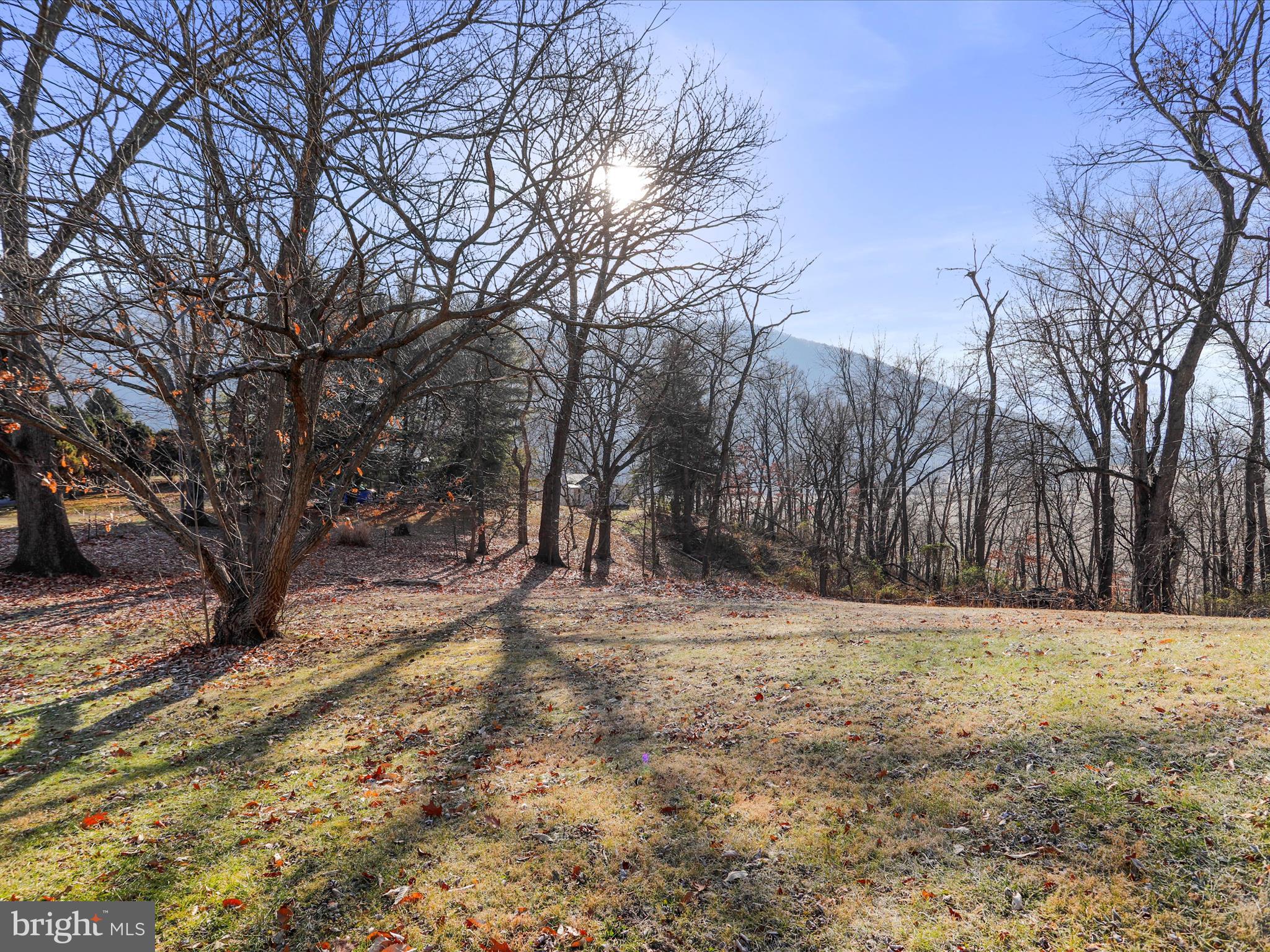 CRESAPTOWN - Residential