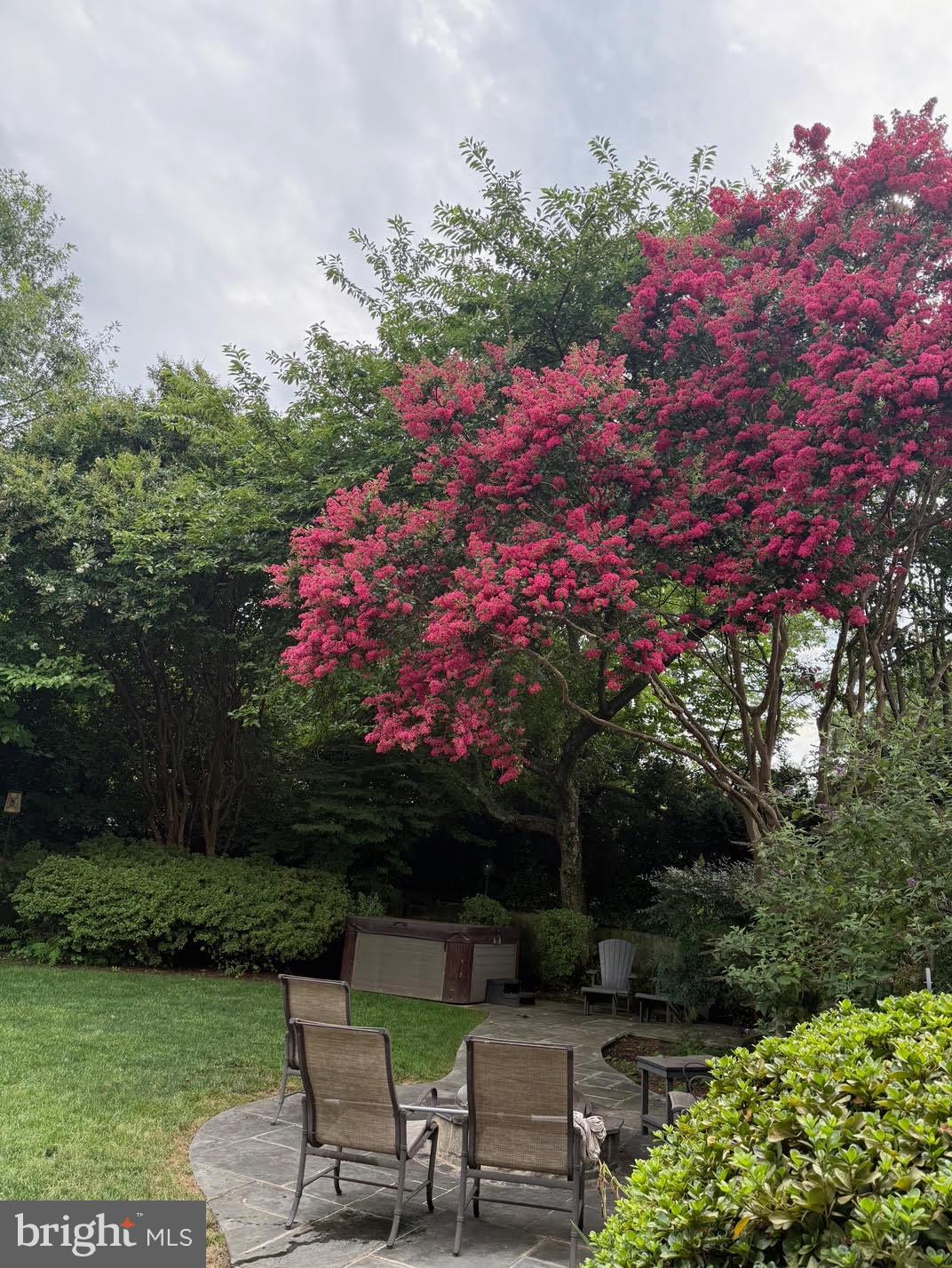 CLOVER - Residential