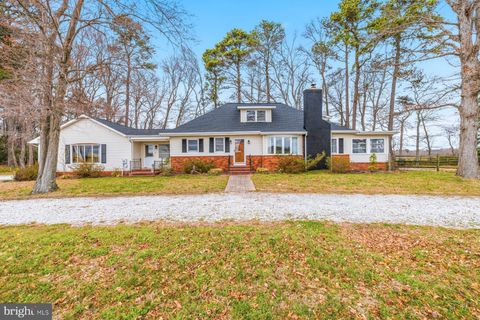 6446 SUICIDE BRIDGE ROAD HURLOCK MD 21643