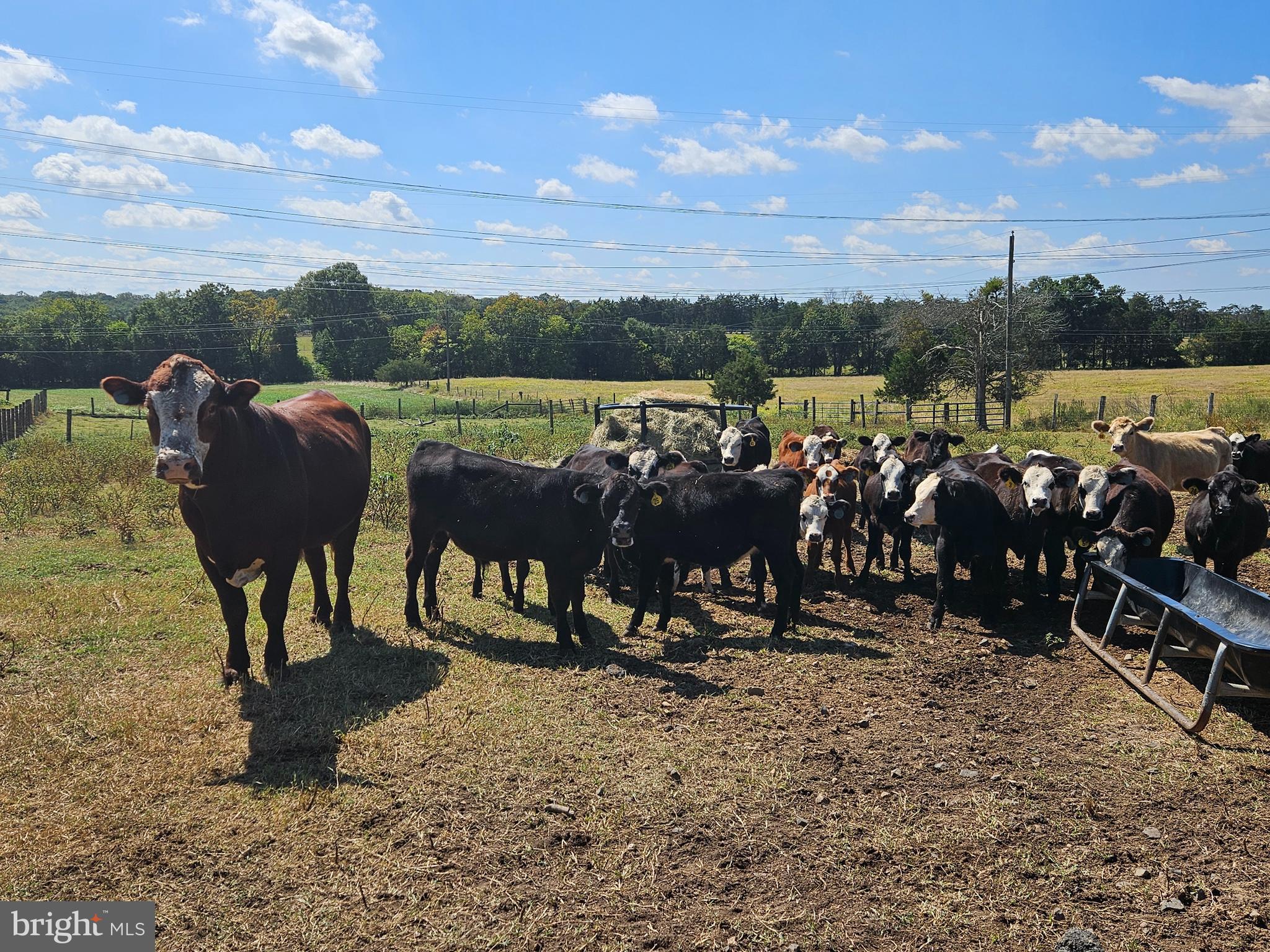 NONE AVAILABLE - Farm