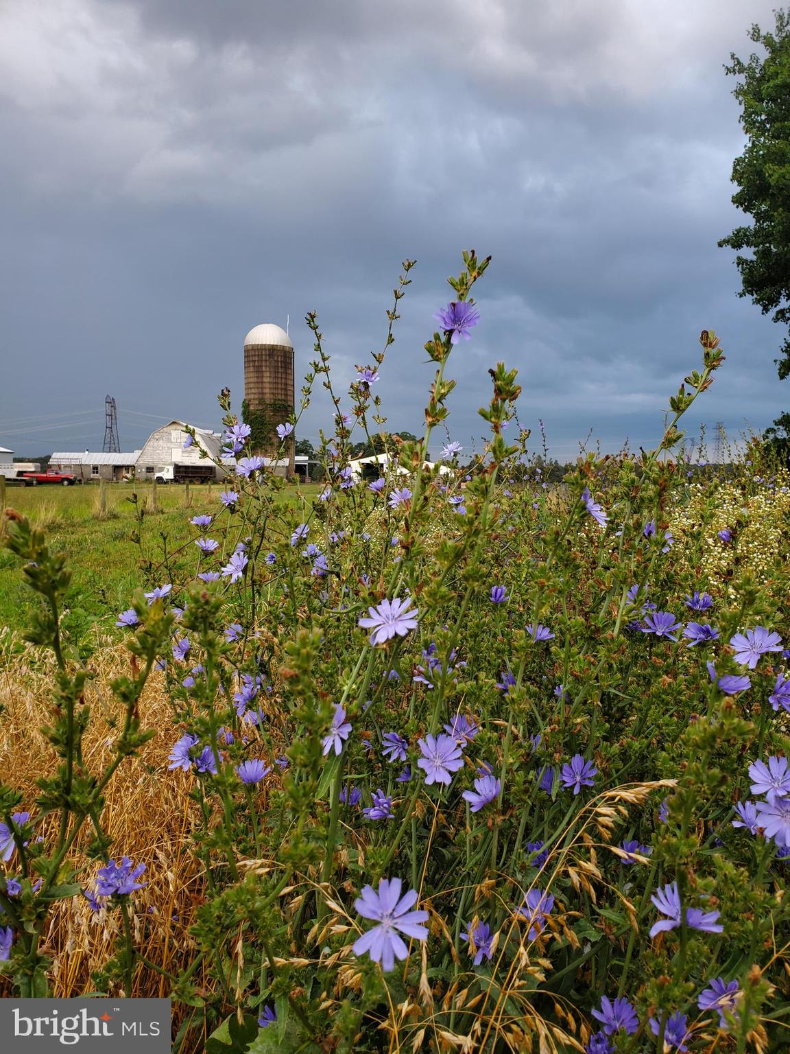 NONE AVAILABLE - Farm