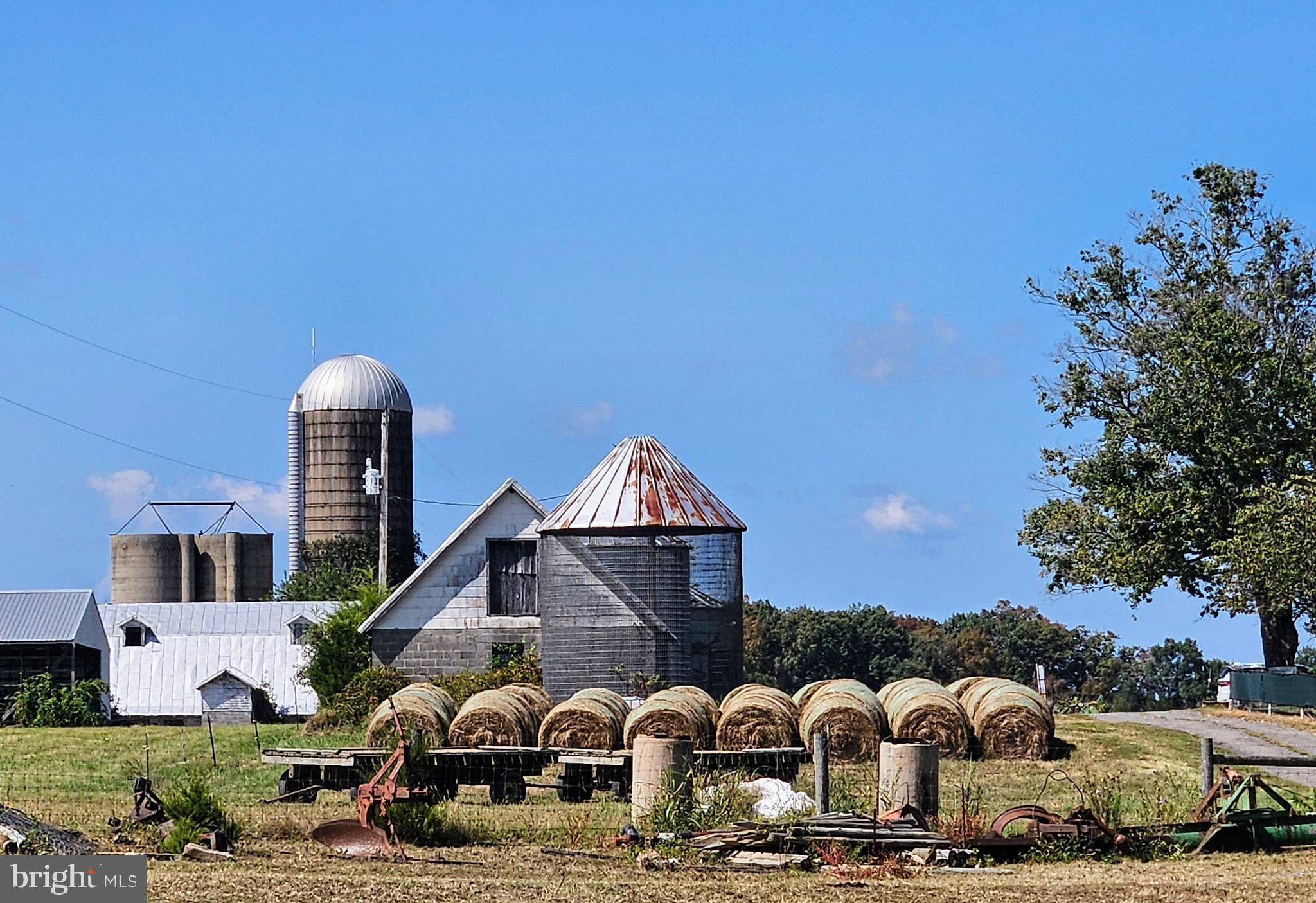 NONE AVAILABLE - Farm