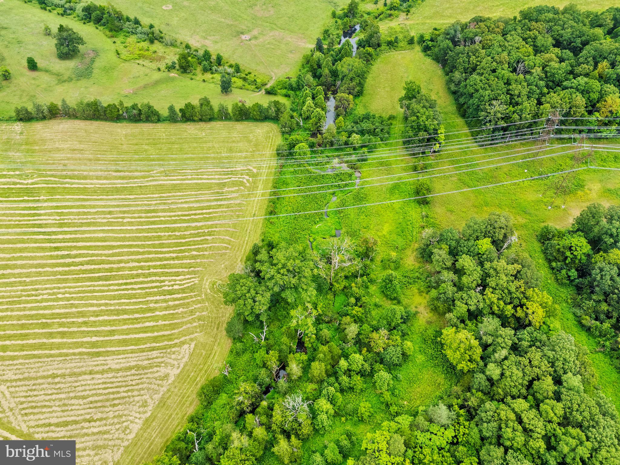 NONE AVAILABLE - Farm