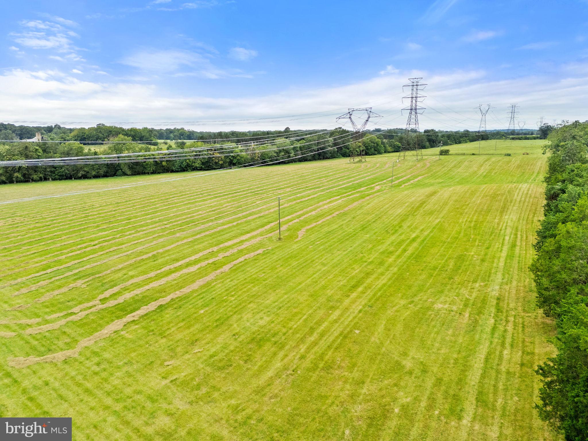 NONE AVAILABLE - Farm