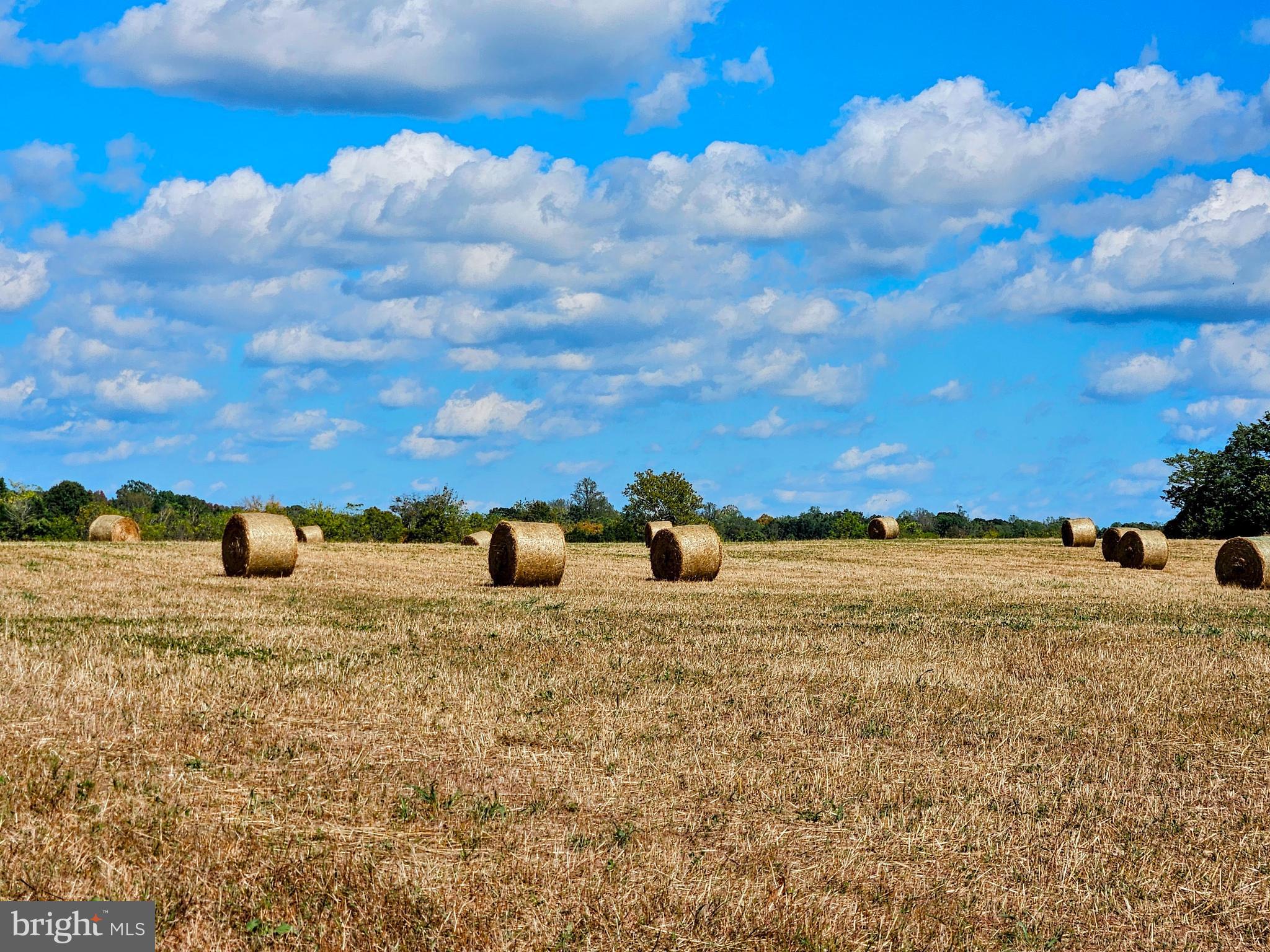 NONE AVAILABLE - Farm