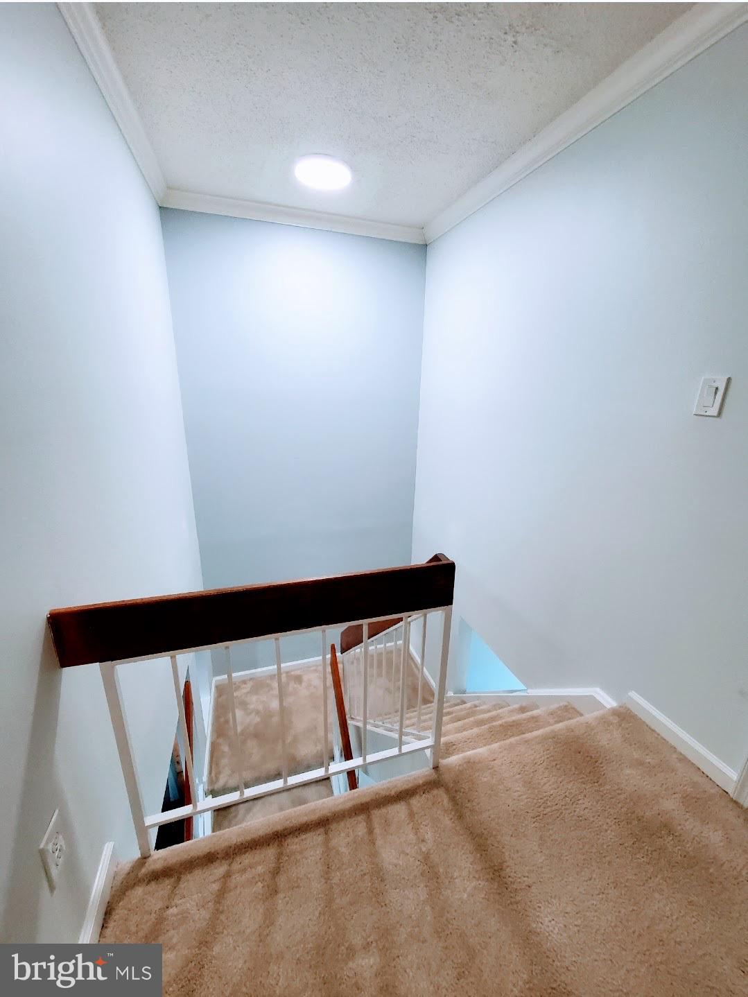 RESTON - Residential Lease