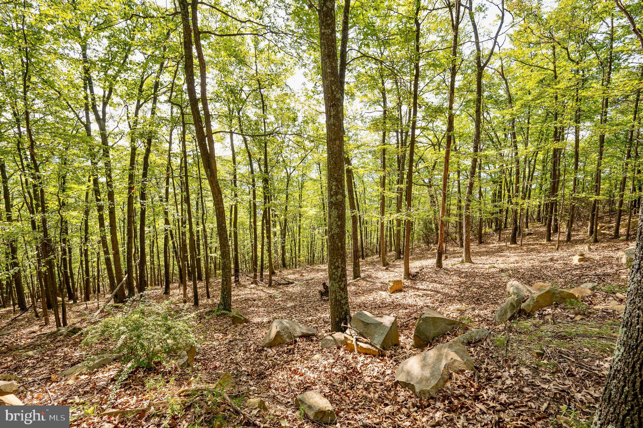 RIVER RIDGE - Residential