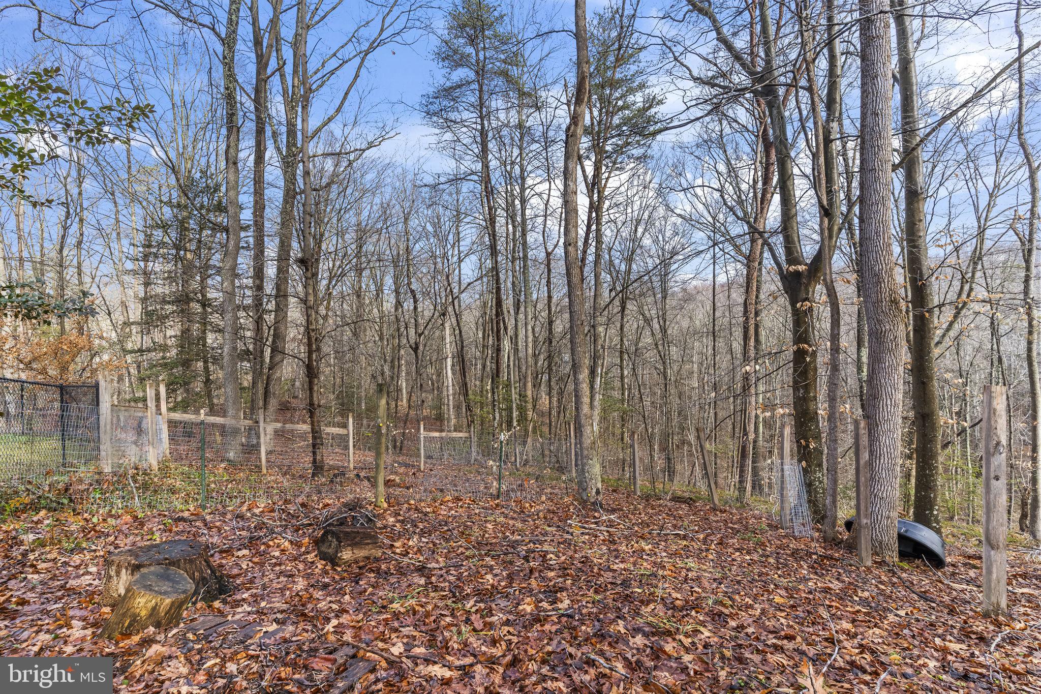 BENEDICT PLANTATION - Residential