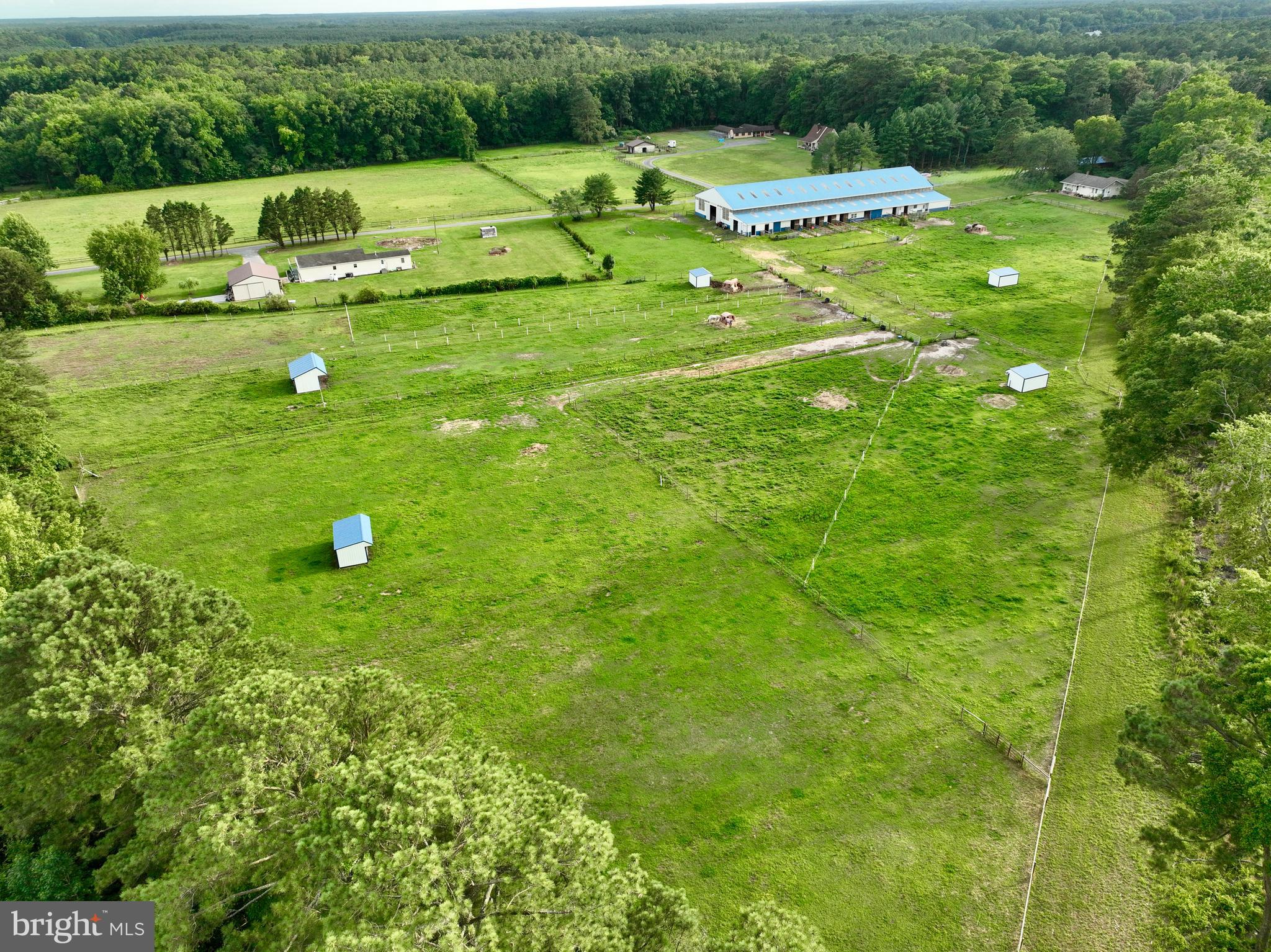 31244 DOG HOUSE DRIVE