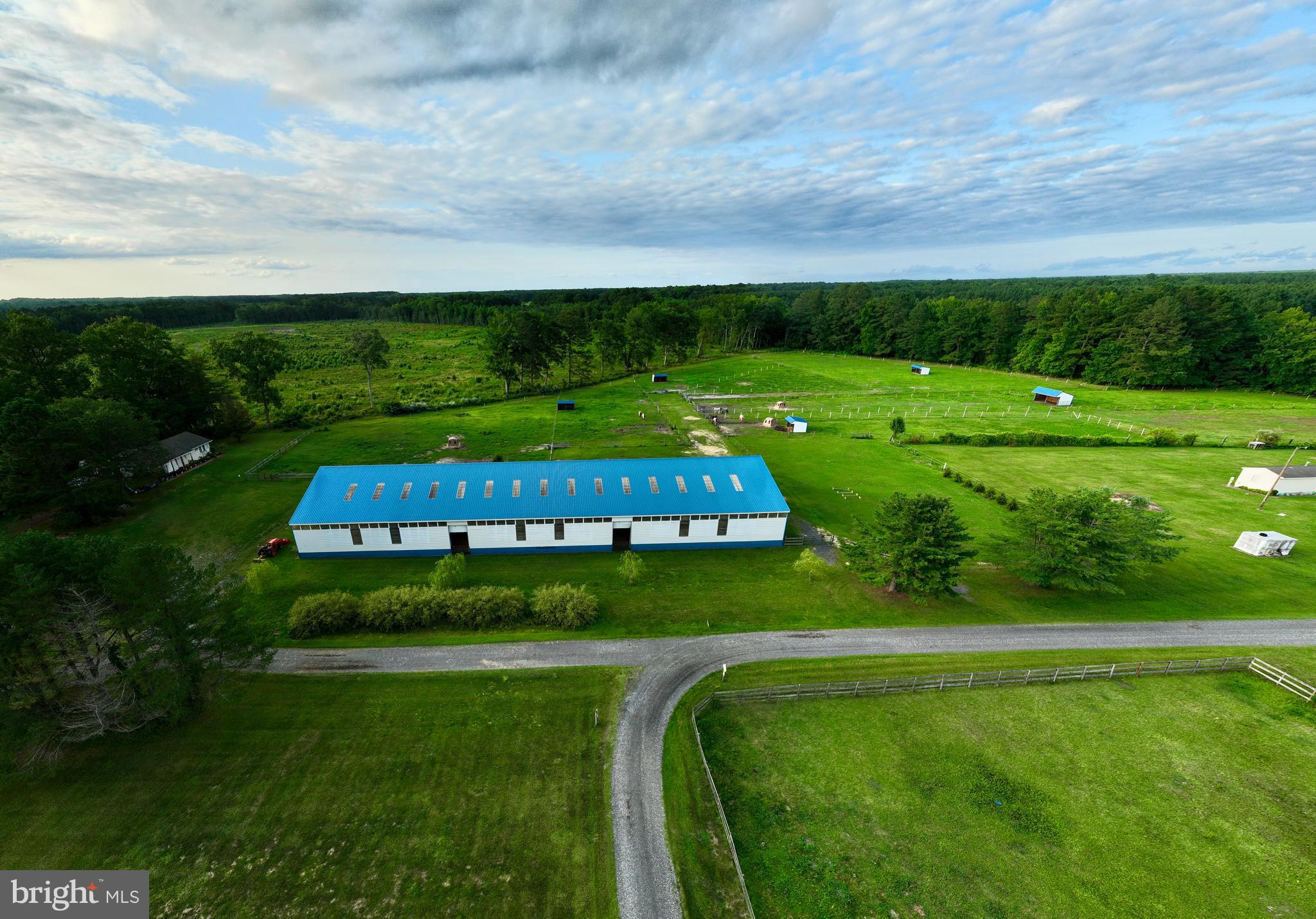 31244 DOG HOUSE DRIVE