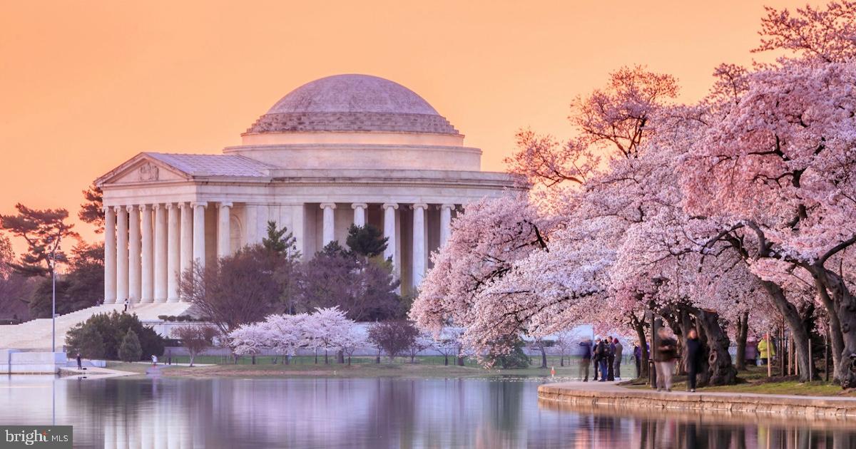 LYON VILLAGE - Residential