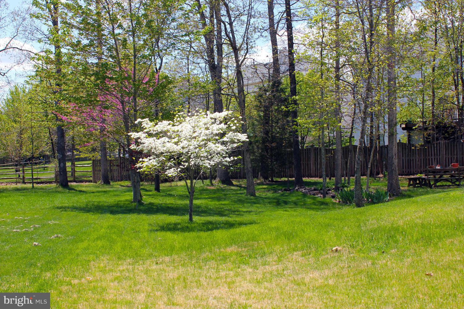 BRIDLEWOOD - Residential