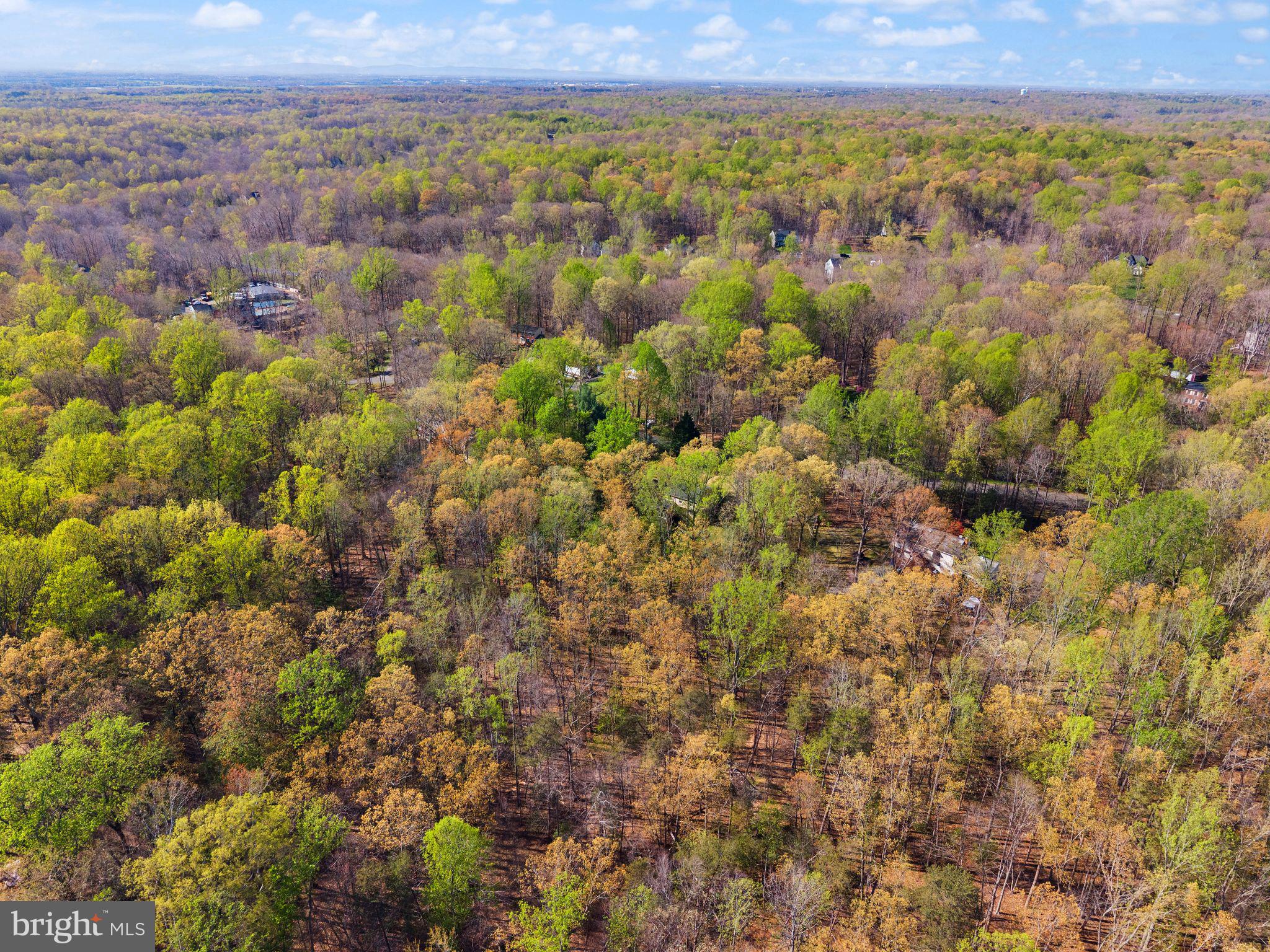 WOODBINE WOODS - Residential