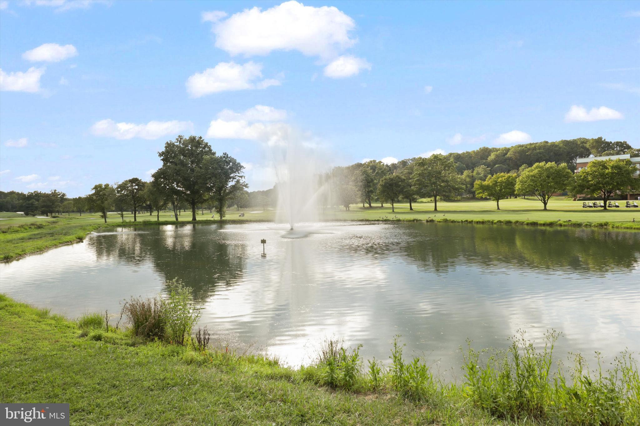 TURF VALLEY VISTAS - Residential