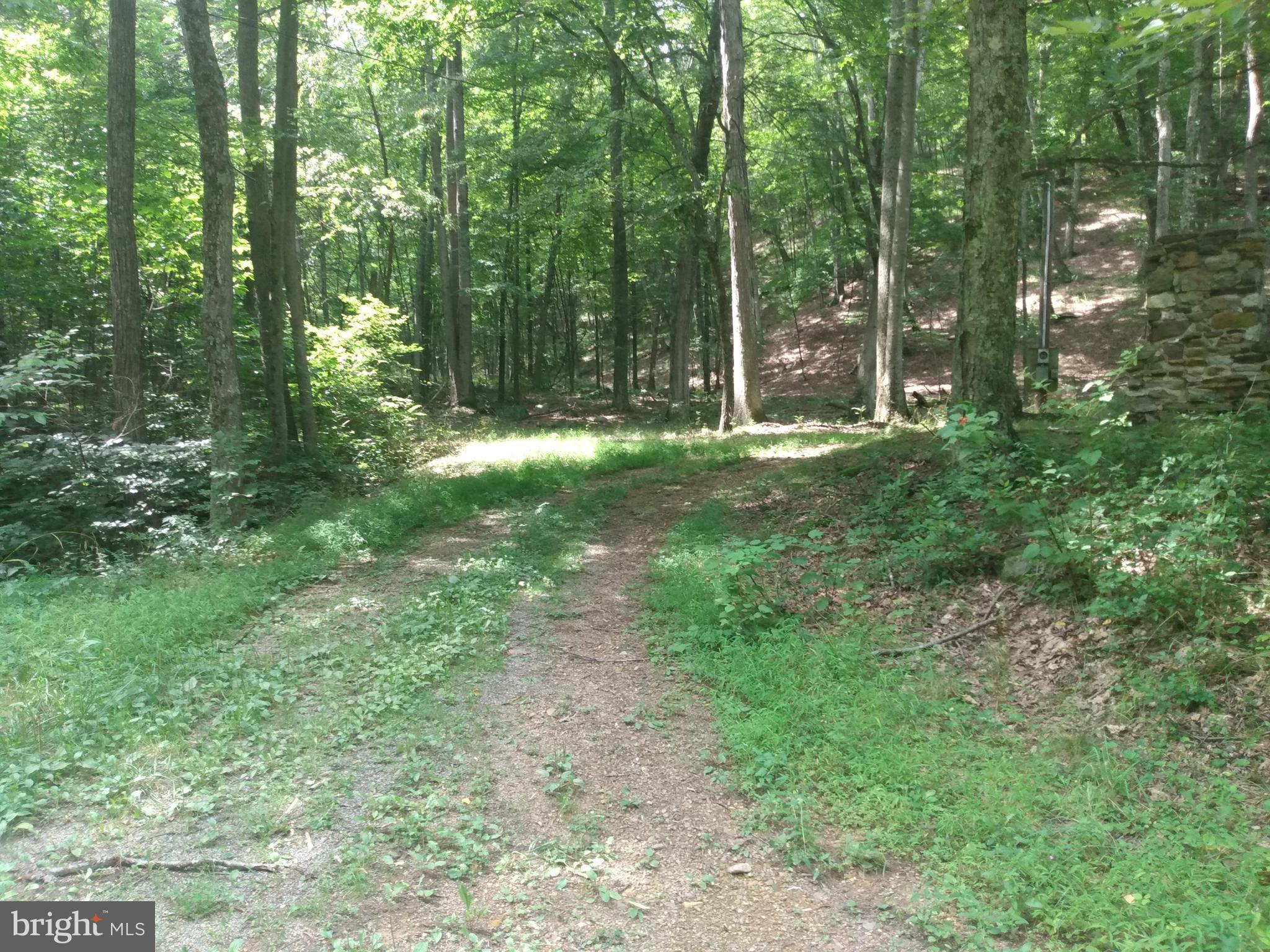 Nice two acre wooded lot with stream & Cacapon River access. Secluded at the end of the lane and bordering some larger tracts of land this lot may be just what you're looking for. It has been leveled for the past camper with electric pole and meter box in place and has a septic permit on file, an older stone barbeque is in place and ready to go! The Cacapon River access lot is within 2 miles and you can get there on your side by side, What could be better! Spend the days on the river and enjoy the camp fire at night. Camp now and build later. Take a look today!