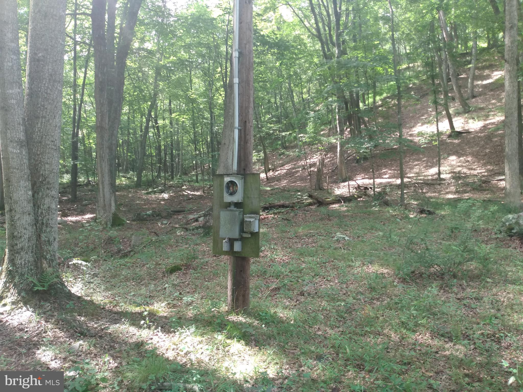578 ROUSE MOUNTAIN ROAD