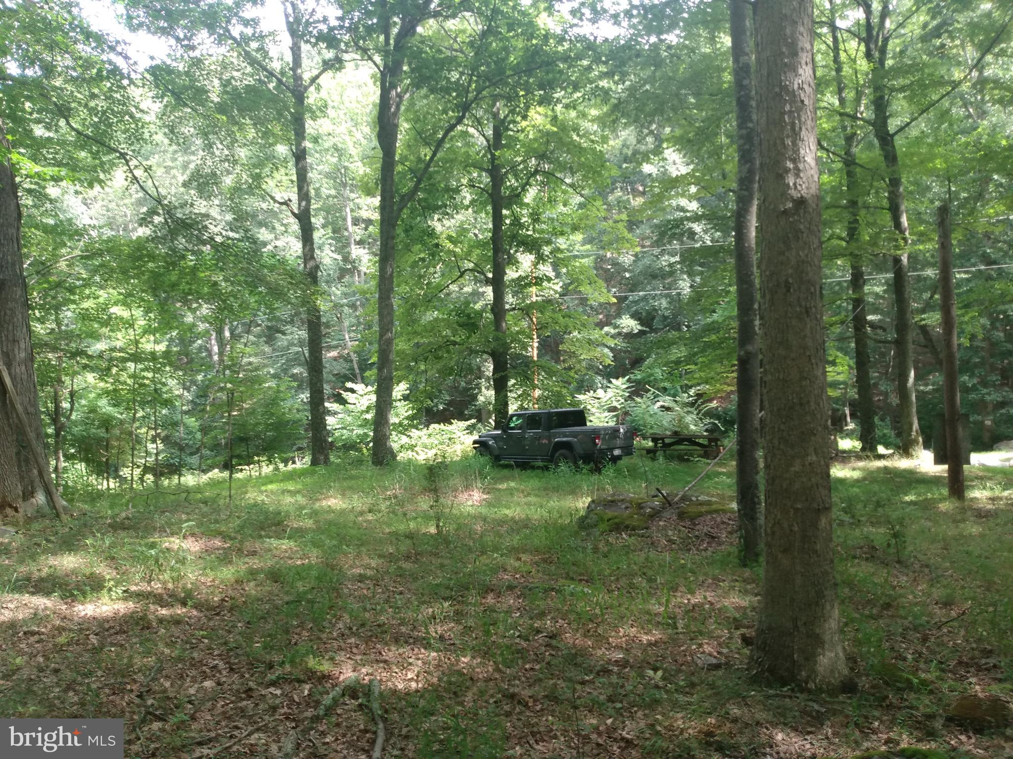 578 ROUSE MOUNTAIN ROAD