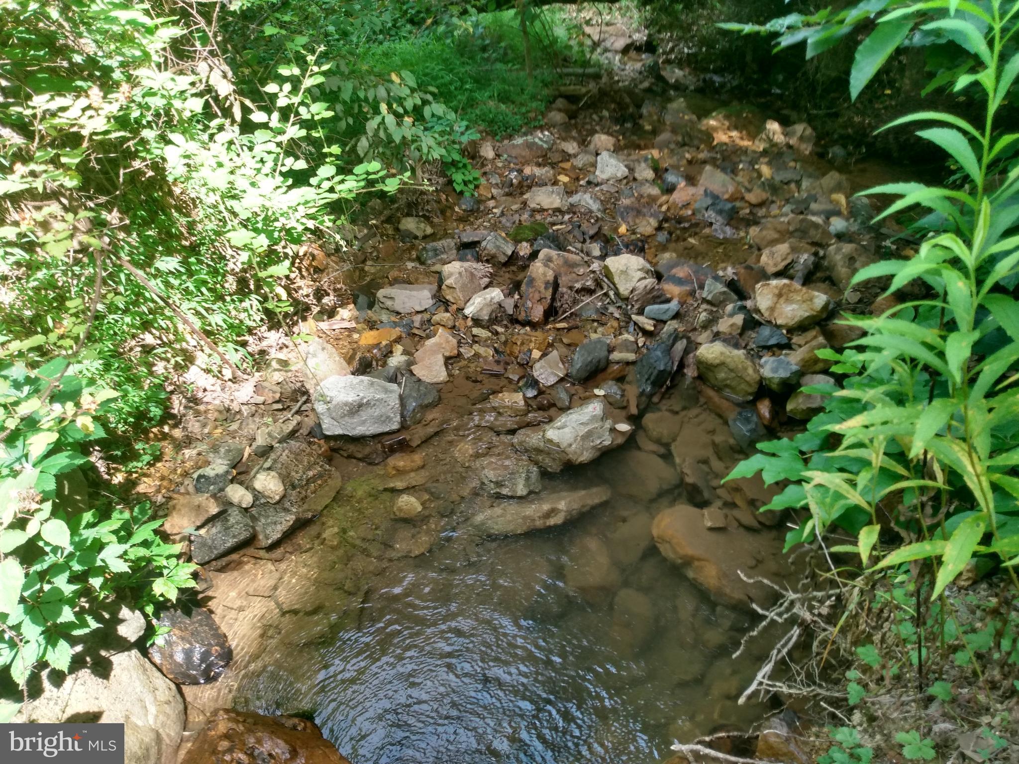 ROUSE MOUNTAIN - Land