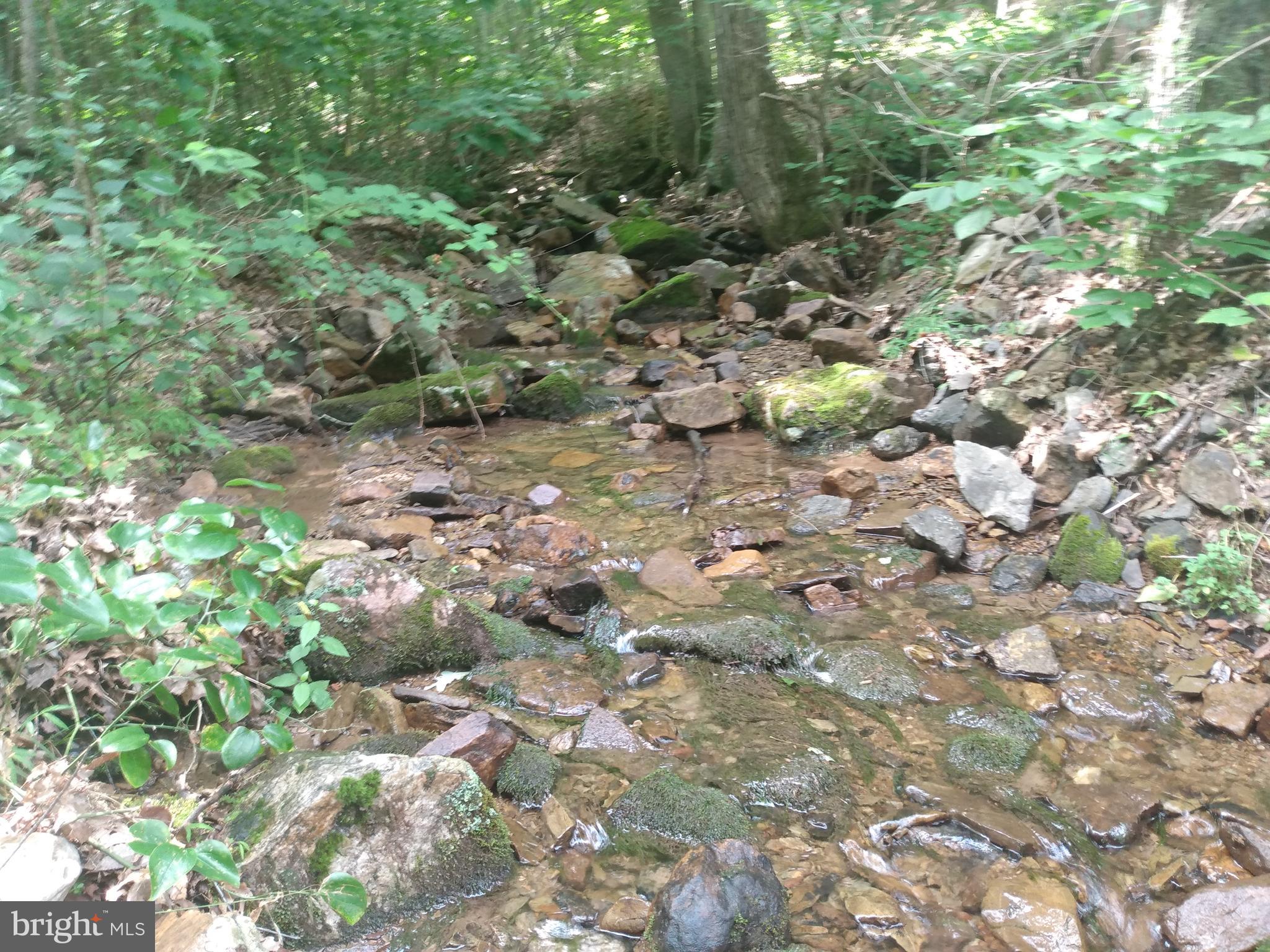 578 ROUSE MOUNTAIN ROAD