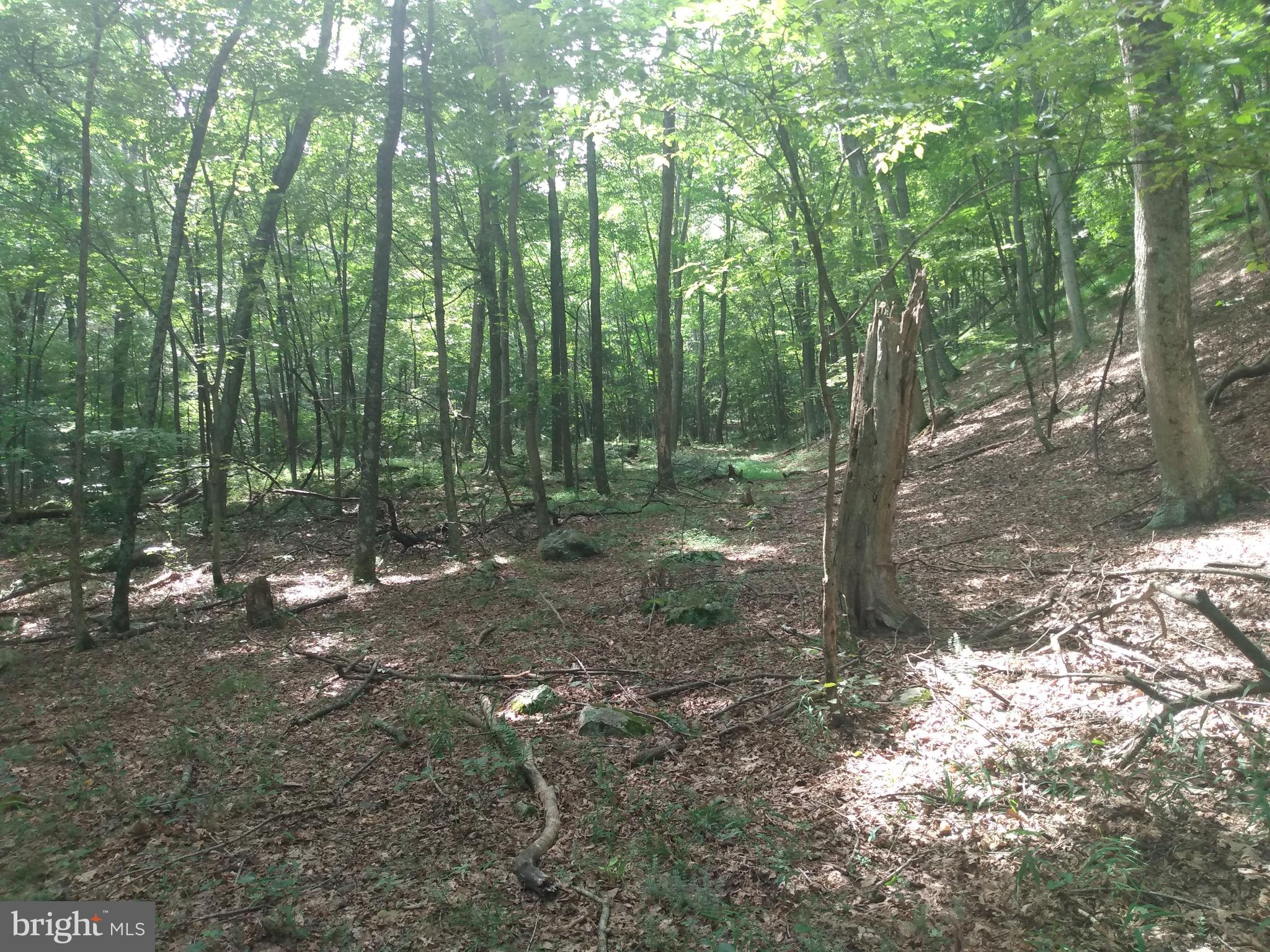 ROUSE MOUNTAIN - Land