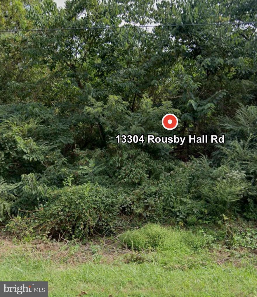 Discover your own slice of tranquility at 13304 Rousby Hall Road, Lusby, MD! This spacious 12,500 sq ft land parcel is nestled in a serene setting, offering an ideal spot to craft your dream home. Imagine enjoying the nearby Patuxent River and the historic charm of the Rousby Hall Estate. While a perc test is pending, this lot promises potential with a price below assessed value. Act now to explore this fantastic opportunity!